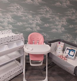 Babyzone Babyzone Maxi Bundle