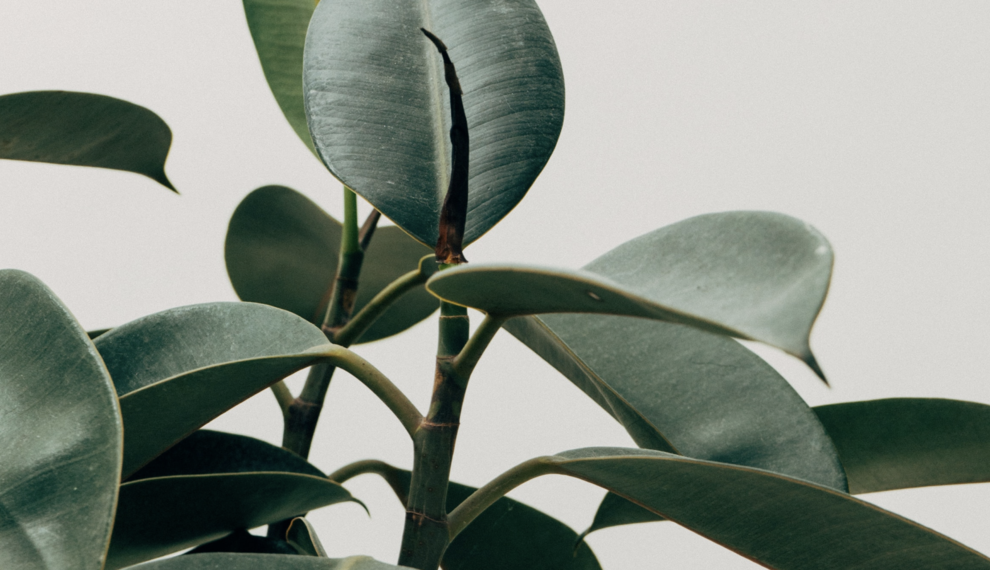 Rearrange the homepage so it fits your style