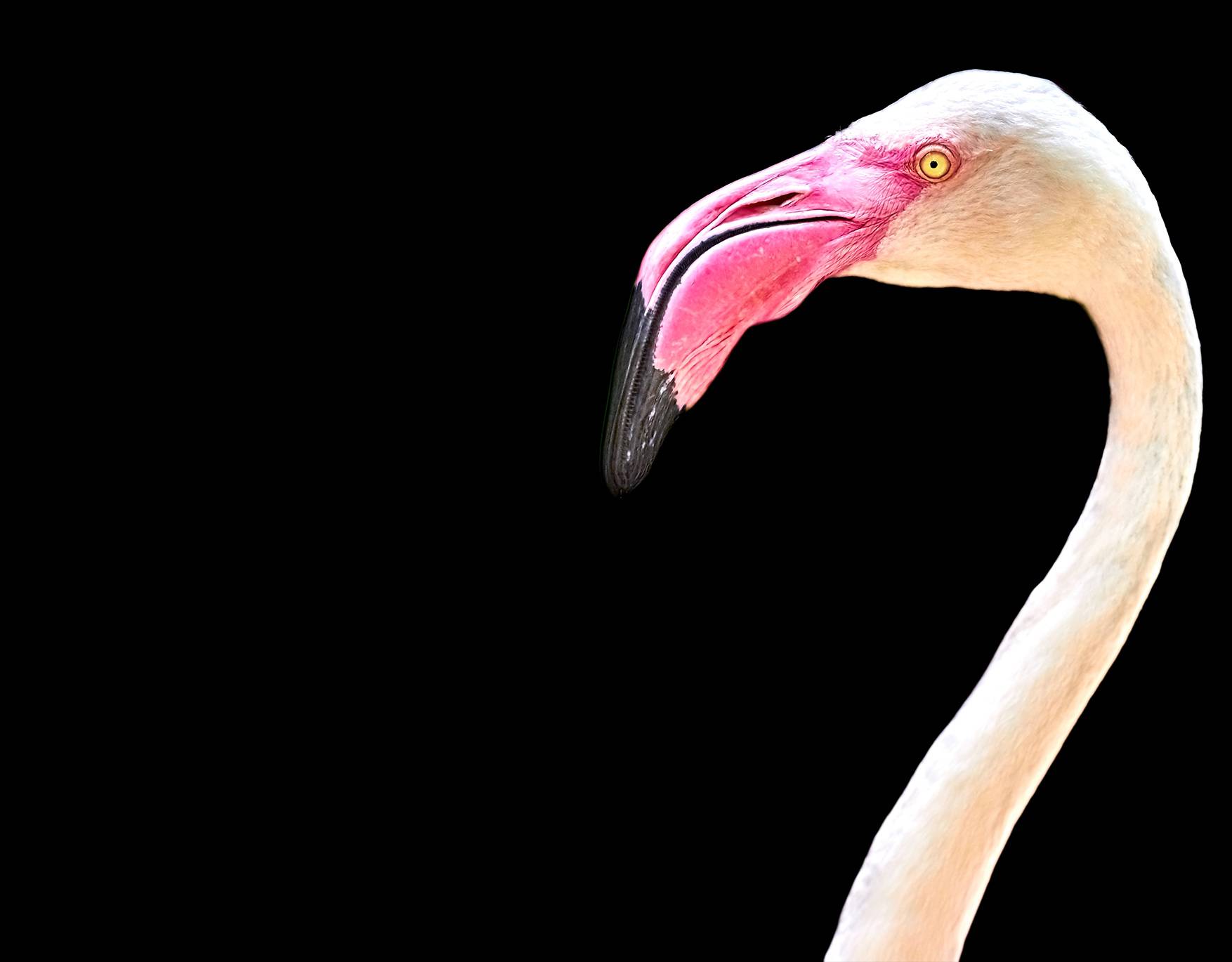 Combine your banner grid however you want.