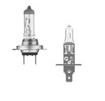 Bulbs 12V / 24V