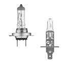 Glühbirne 12V / 24V