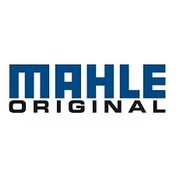 Mahle