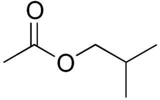 Acétate d'isobutyle