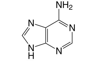 Adenine