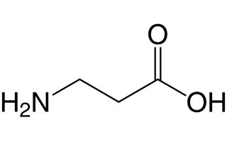 β-alanine