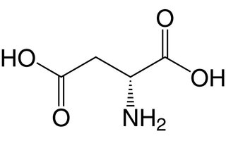 Asparaginsäure