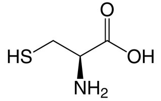 Cystein