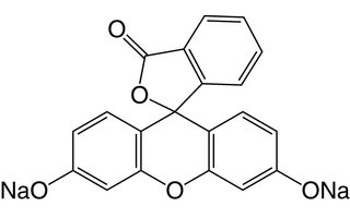 Fluoresceina Sodio Sale (C.I.45350)