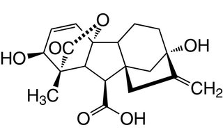 Gibberellinsäure