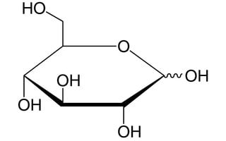 Glucosa