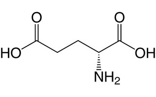 Acido glutammico