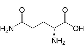 Glutamin