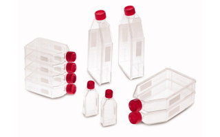 Cell culture bottles