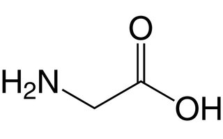 Glicina