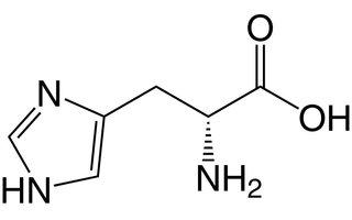 Histidina