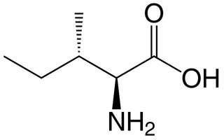 Isoleucina