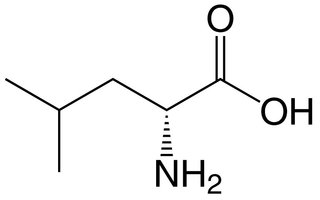 Leucine