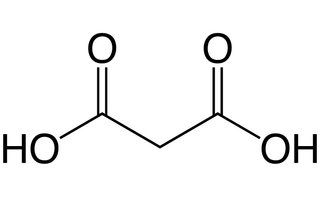 Acide malonique