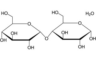 Maltosa