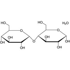 D(+)-Maltosa monohidrato ≥92 %