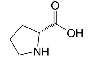 Proline