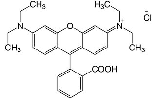 Rhodamin B