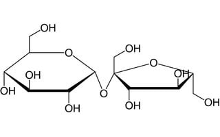 Sacarosa