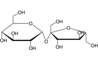 Saccharose