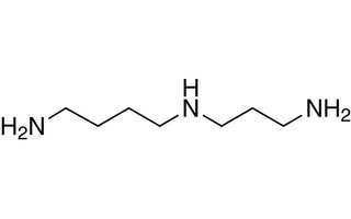 Spermidina