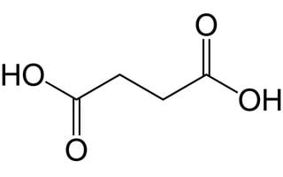 Bernsteinsäure