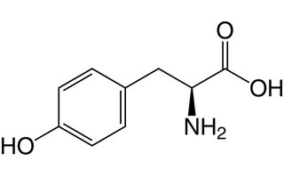 Tirosina