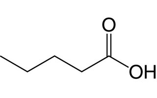 Acide pentanoïque
