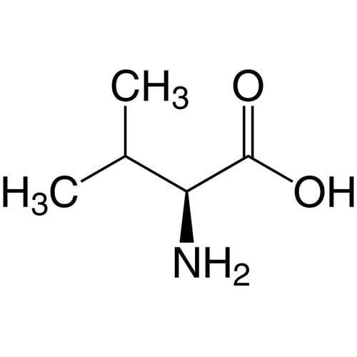 L-Valine ≥98,5 %