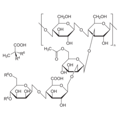 Xanthan, reinst