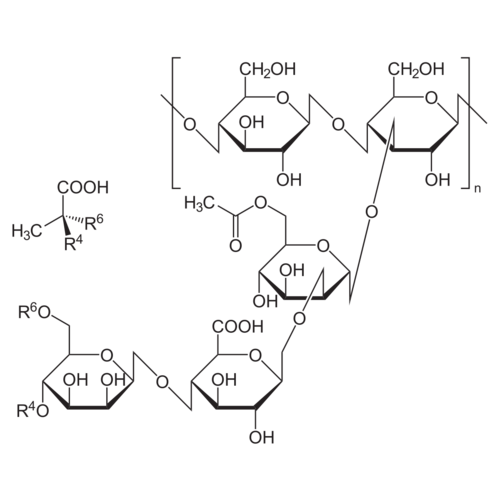 Xanthane. extra pur