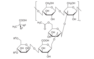 Xanthane 