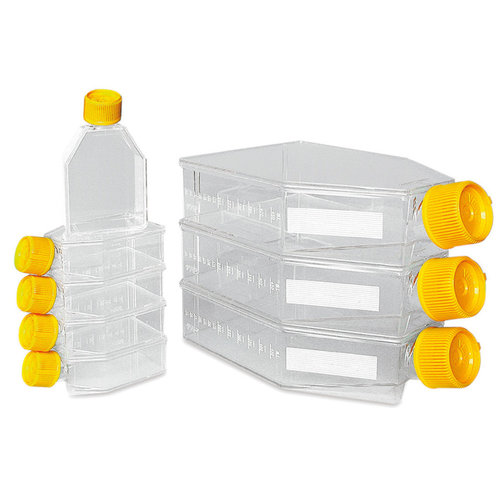 Cell culture bottles