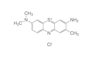 Bleu de toluidine