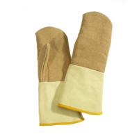 Aramid Gloves F2AGP/18TK