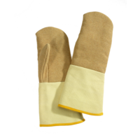 Gants Aramide F2AGP / 18TK