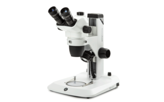 Microscopes stéréo