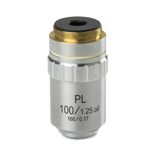 Plan PL S100x / 1.25 objective. Working distance 0.33 mm