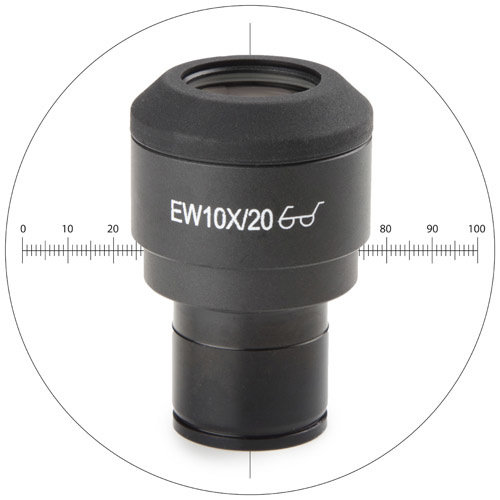 Oculare EWF 10x / 20 mm con 10/100 micrometri e croce, tubo Ø 23,2 mm