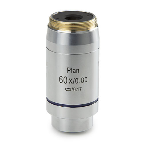 Plan PLI S60x / 0,80 unendlich korrigiertes Objektiv, Arbeitsabstand 0,3 mm