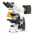 Delphi-X Observer fluorescence