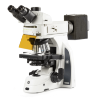 Delphi-X Observer fluorescentie