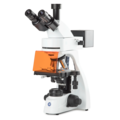 bScope fluorescence