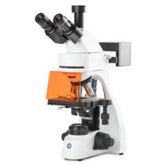 bScope fluorescence