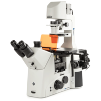 Delphi-X Inverso fluorescence