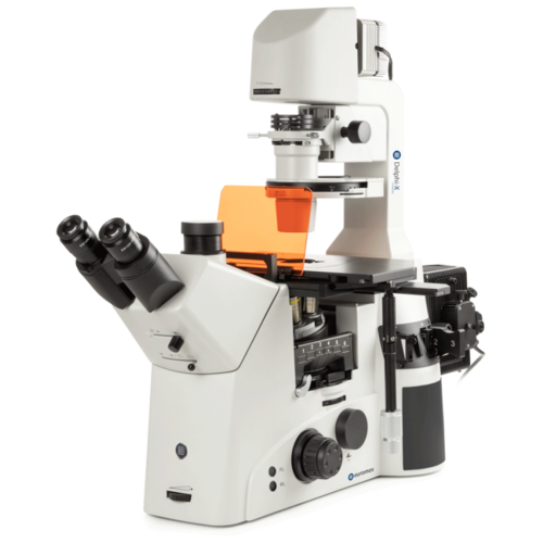 Delphi-X Inverso fluorescence